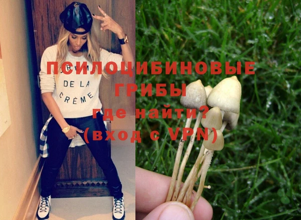 шишки Алзамай