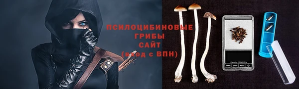 дмт Пестово