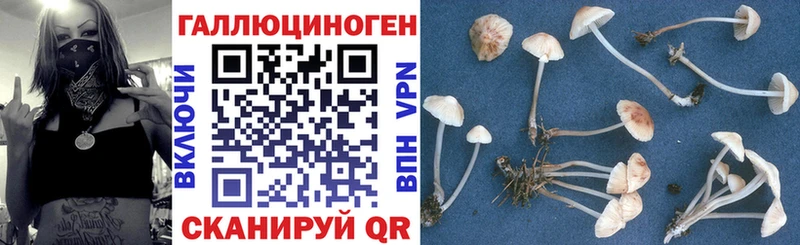 нарко площадка как зайти  кракен зеркало  Катайск  Псилоцибиновые грибы Magic Shrooms 
